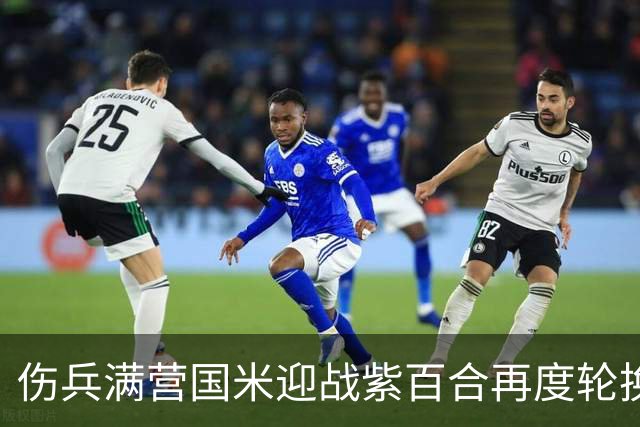 伤兵满营国米迎战紫百合再度轮换，小图恰20面对最爱对手！