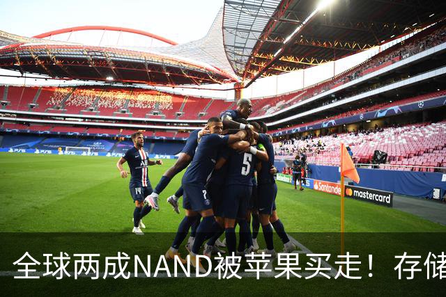 全球两成NAND被苹果买走！存储采购内幕曝光：不卖就让你跪着爬回来