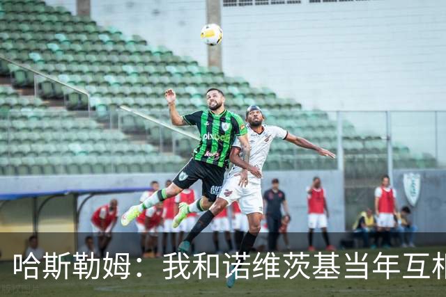 哈斯勒姆：我和诺维茨基当年互相讨厌 现在却成了很好的朋友