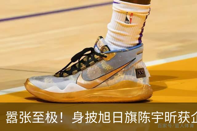嚣张至极！身披旭日旗陈宇昕获企业公开支持：一起披！汤家凤痛斥