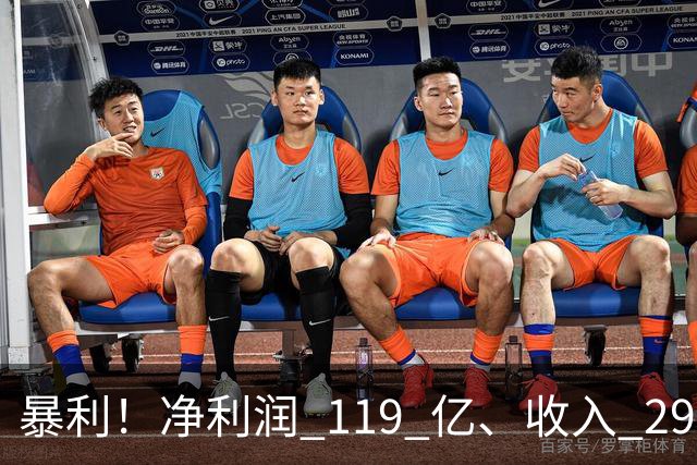 暴利！净利润 119 亿、收入 292 亿
