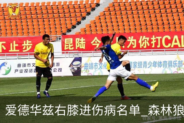 爱德华兹右膝进伤病名单 森林狼战骑士存变数