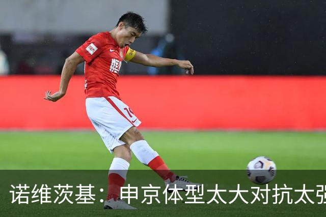 诺维茨基：申京体型太大对抗太强，马刺让他太轻松进篮下