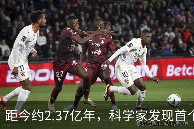 距今约2.37亿年，科学家发现首个海洋两栖动物
