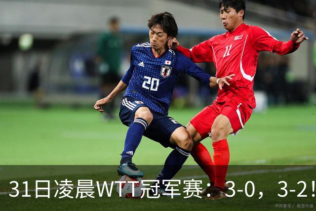 31日凌晨WTT冠军赛：3-0，3-2！雨果剃光头，蒯曼丢局过关，决战美和
