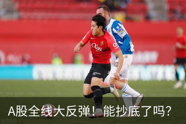 A股全线大反弹！能抄底了吗？
