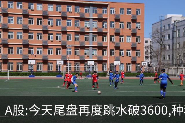 A股:今天尾盘再度跳水破3600,种种迹象表明,本轮调整或全面启动？